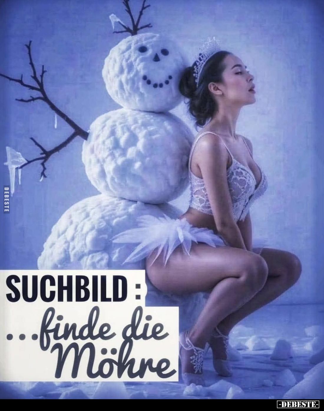 Suchbild: finde die Möhre.