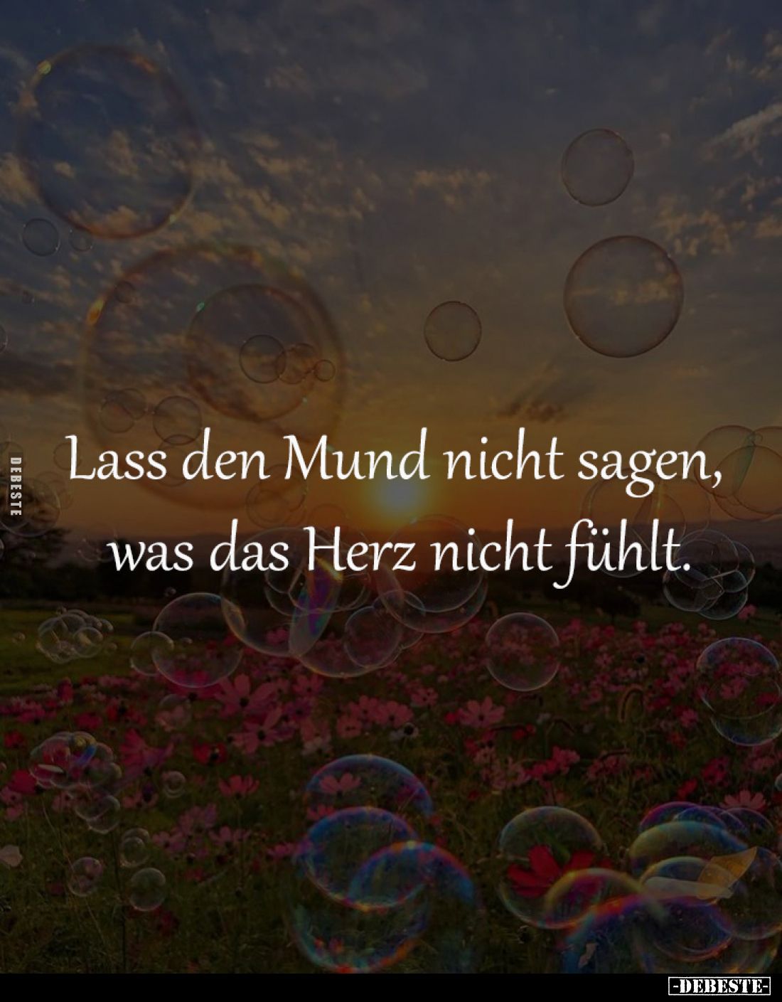 Lass den Mund nicht sagen.... - Lustige Bilder | DEBESTE.de