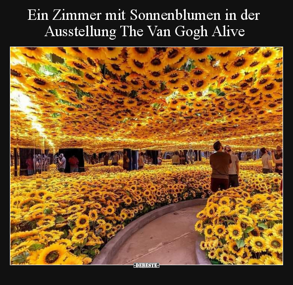 Ein Zimmer mit Sonnenblumen in der Ausstellung The Van Gogh.. - Lustige Bilder | DEBESTE.de