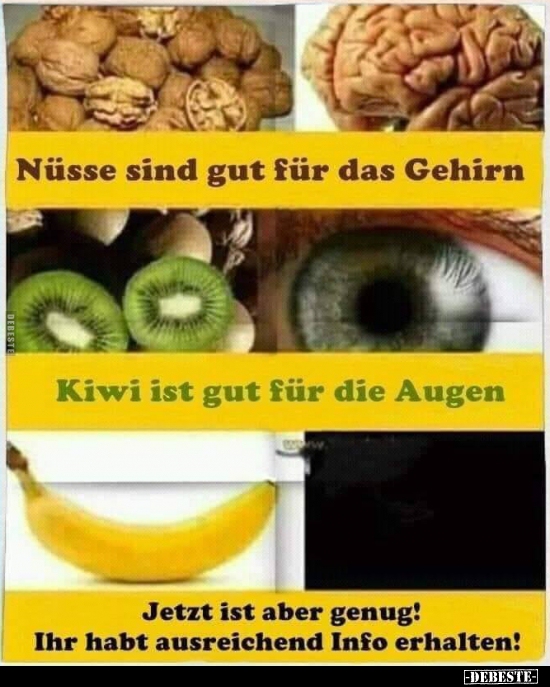 Nüsse sind gut für das Gehirn.. - Lustige Bilder | DEBESTE.de
