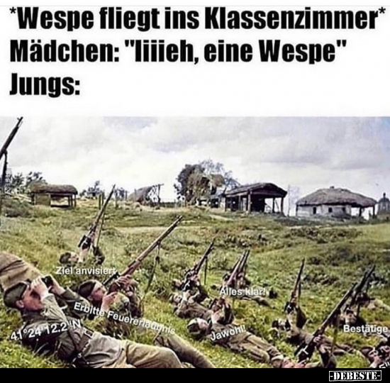 *Wespe fliegt ins Klassenzimmer*.. - Lustige Bilder | DEBESTE.de