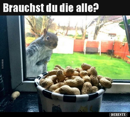 Brauchst du die alle?..