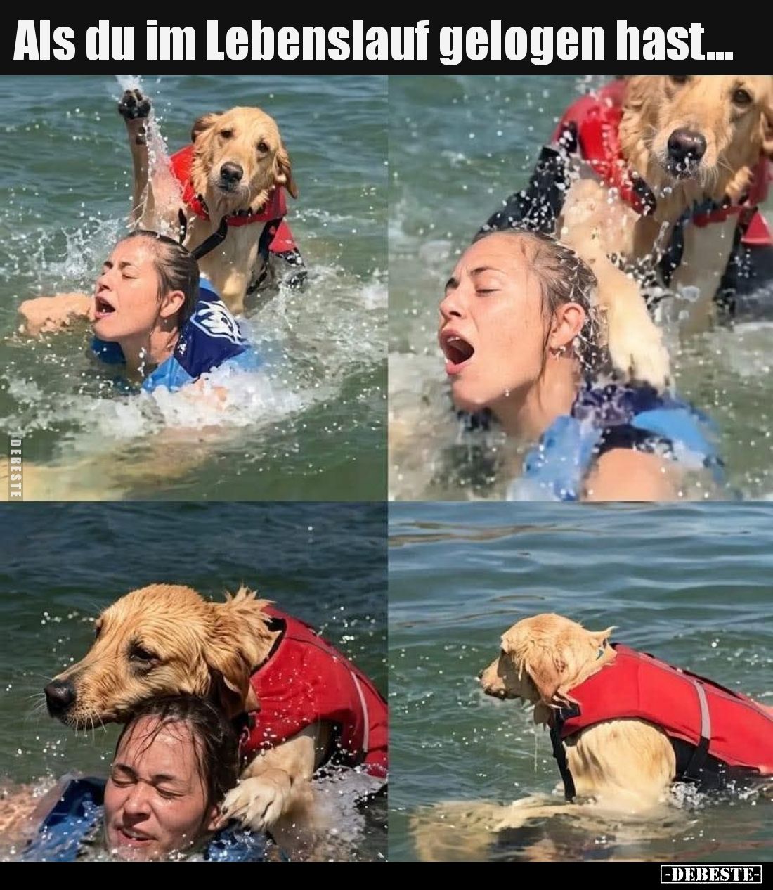 Als du im Lebenslauf gelogen hast... - Lustige Bilder | DEBESTE.de