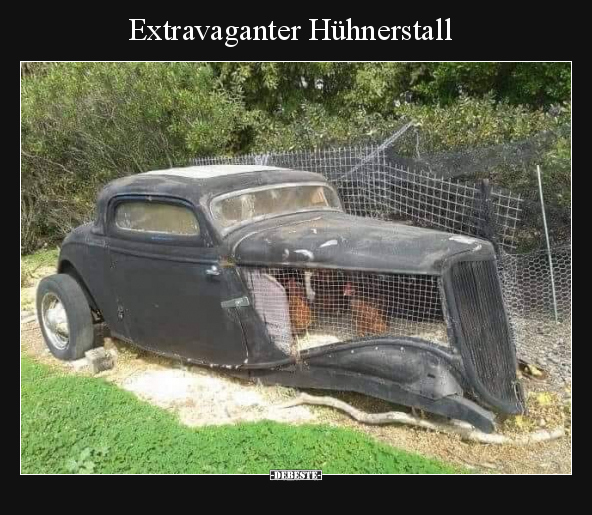 Extravaganter Hühnerstall.. - Lustige Bilder | DEBESTE.de