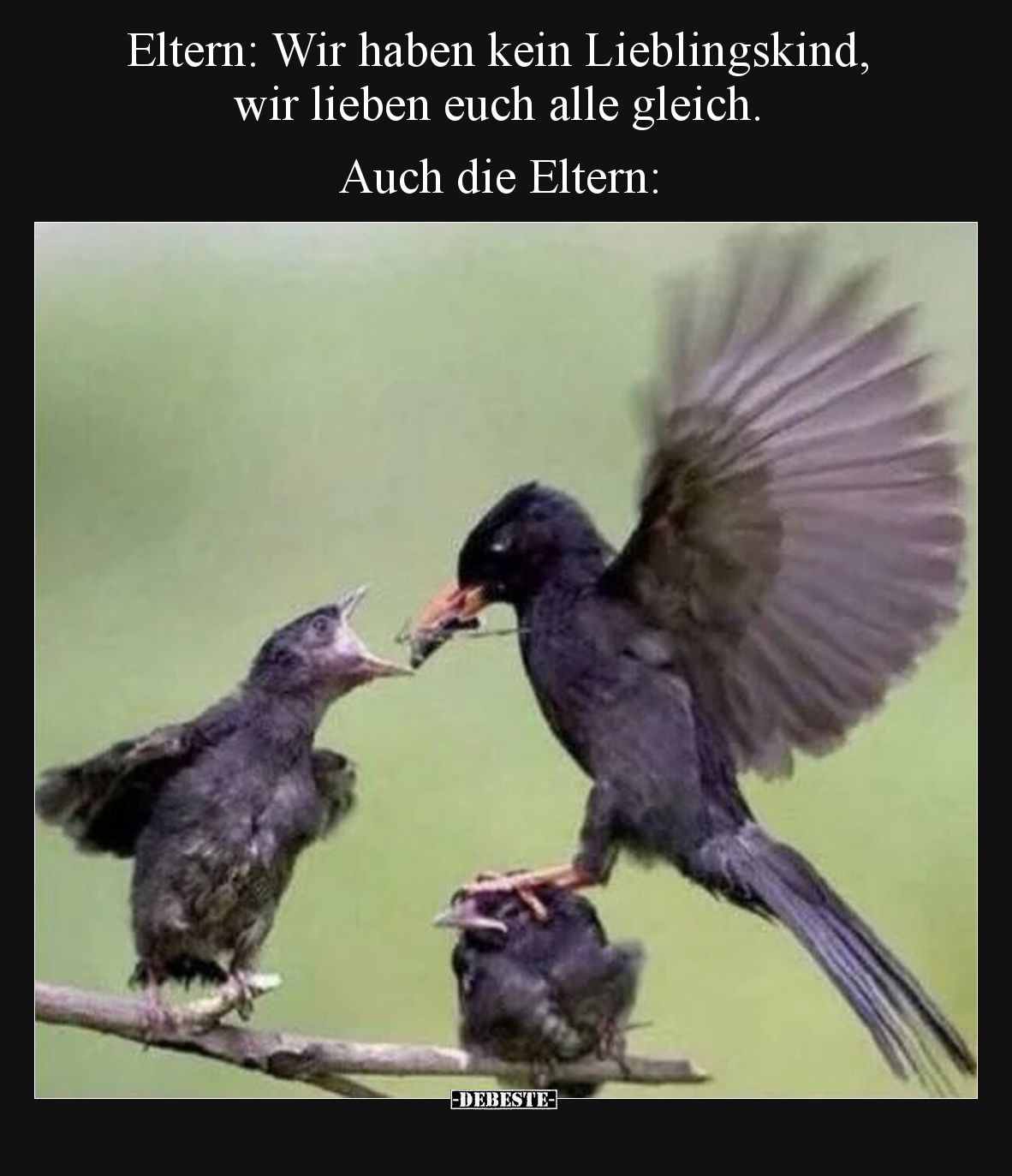 Eltern: Wir haben kein Lieblingskind, wir lieben euch alle gleich.
Auch die Eltern: