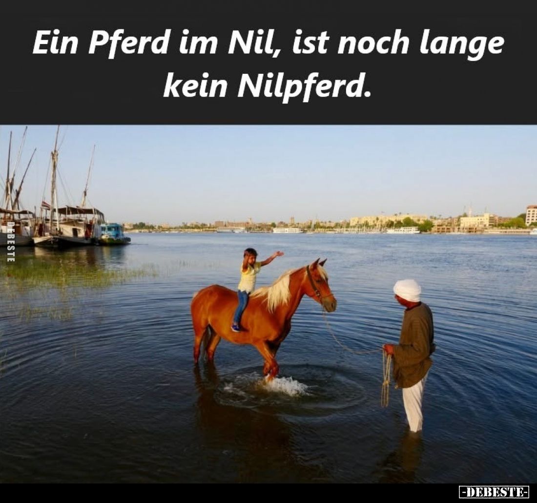 Ein Pferd im Nil, ist noch lange kein Nilpferd.