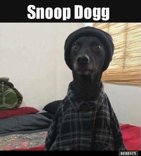 Snoop Dogg.. - Lustige Bilder | DEBESTE.de