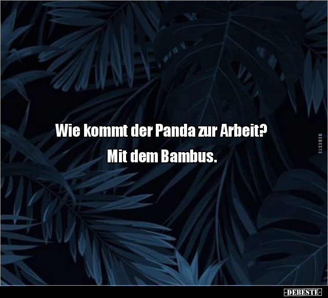 Wie kommt der Panda zur Arbeit?  Mit dem Bambus... - Lustige Bilder | DEBESTE.de