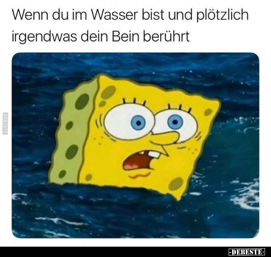 Wenn du im Wasser bist und plötzlich irgendwas dein Bein.. - Lustige Bilder | DEBESTE.de