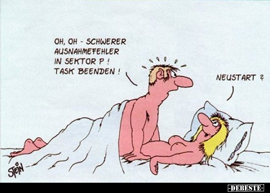 Oh, oh - schwerer Ausnahmefehler in Sektor P! Task beenden!
Neustart?