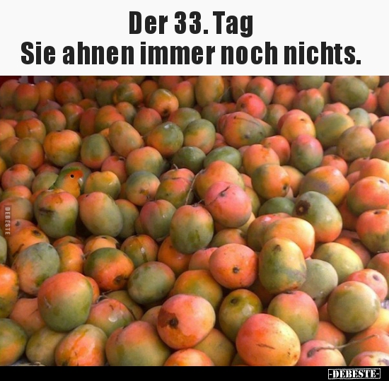 Der 33. Tag - Sie ahnen immer noch nichts..