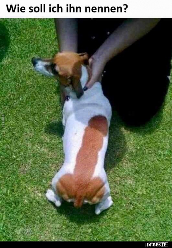 Wie soll ich ihn nennen?..