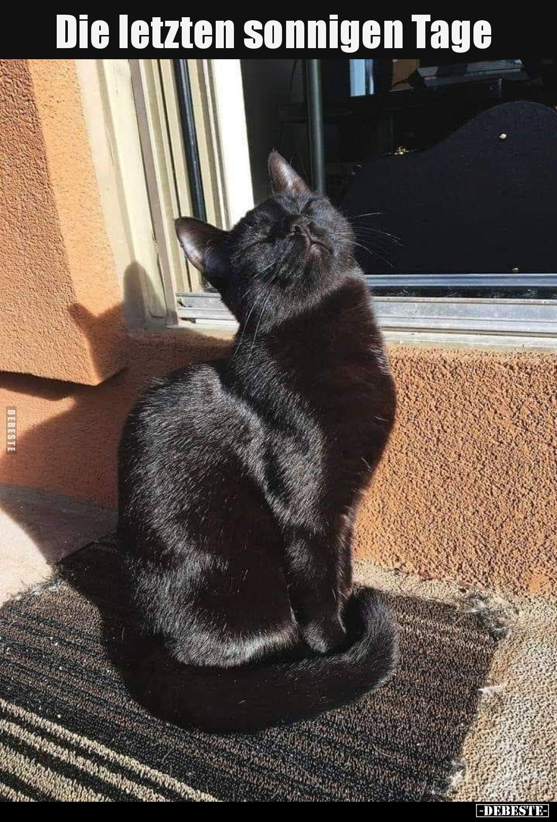 Die letzten sonnigen Tage.