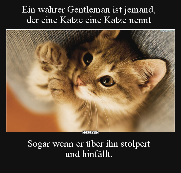 Ein wahrer Gentleman ist jemand, der eine Katze eine Katze.. - Lustige Bilder | DEBESTE.de