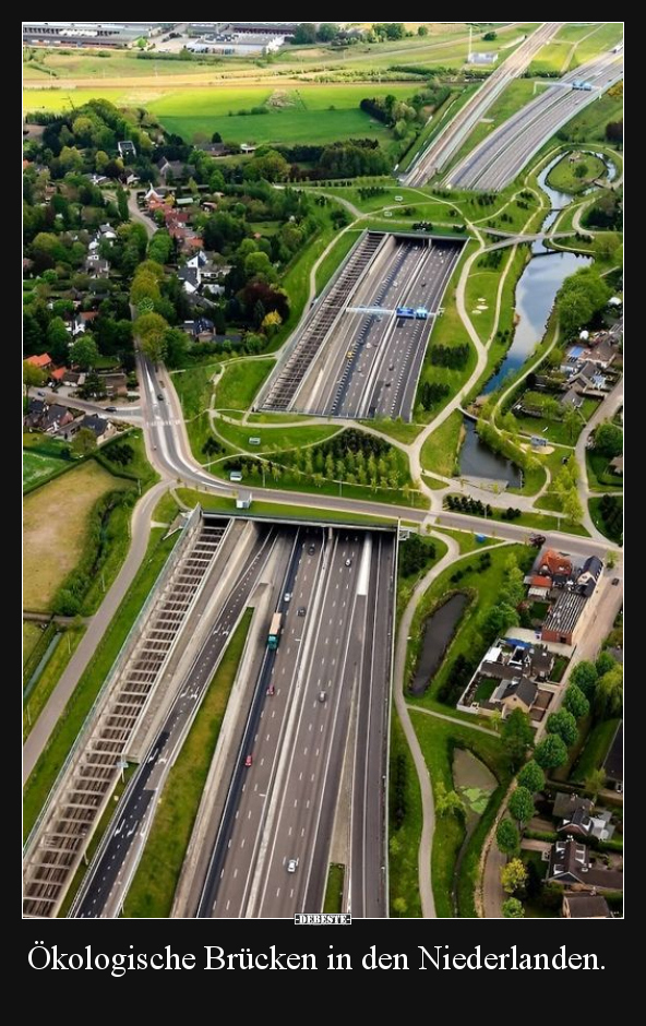 Ökologische Brücken in den Niederlanden... - Lustige Bilder | DEBESTE.de