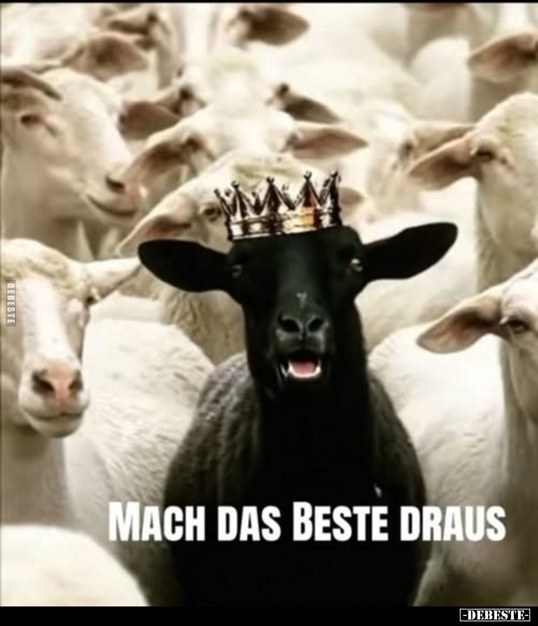 Mach das Beste draus