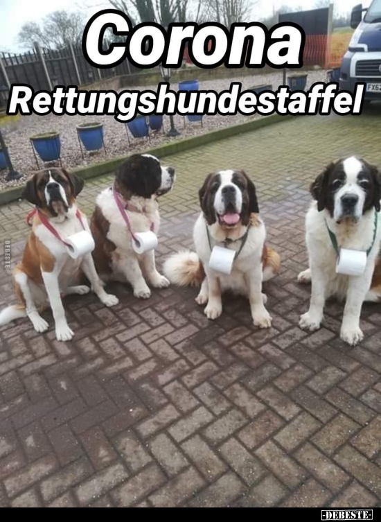Corona Rettungshundestaffel.. - Lustige Bilder | DEBESTE.de