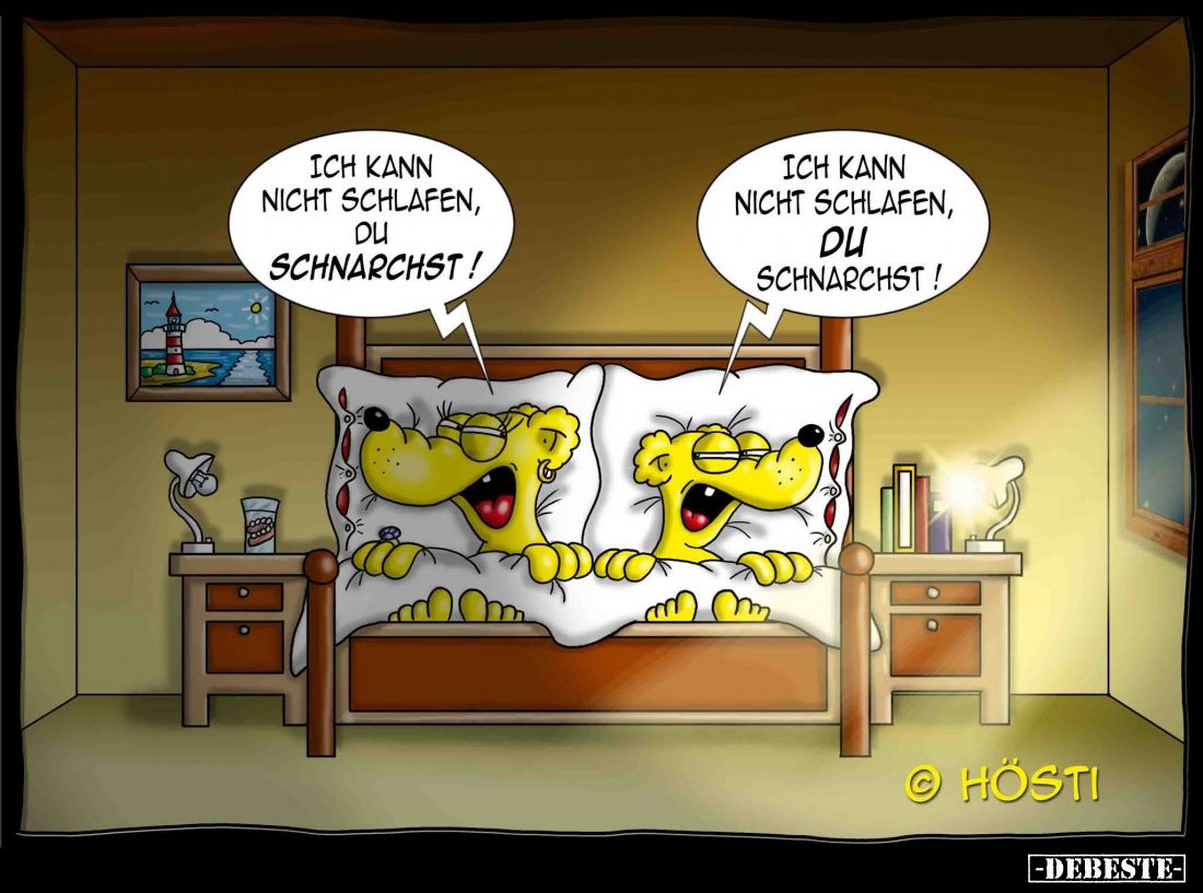 Ich kann nicht schlafen, du schnarchst! -
Ich kann nicht schlafen, du schnarchst!