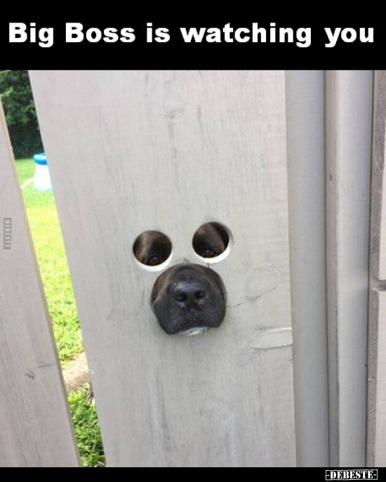 Big Boss is watching you..