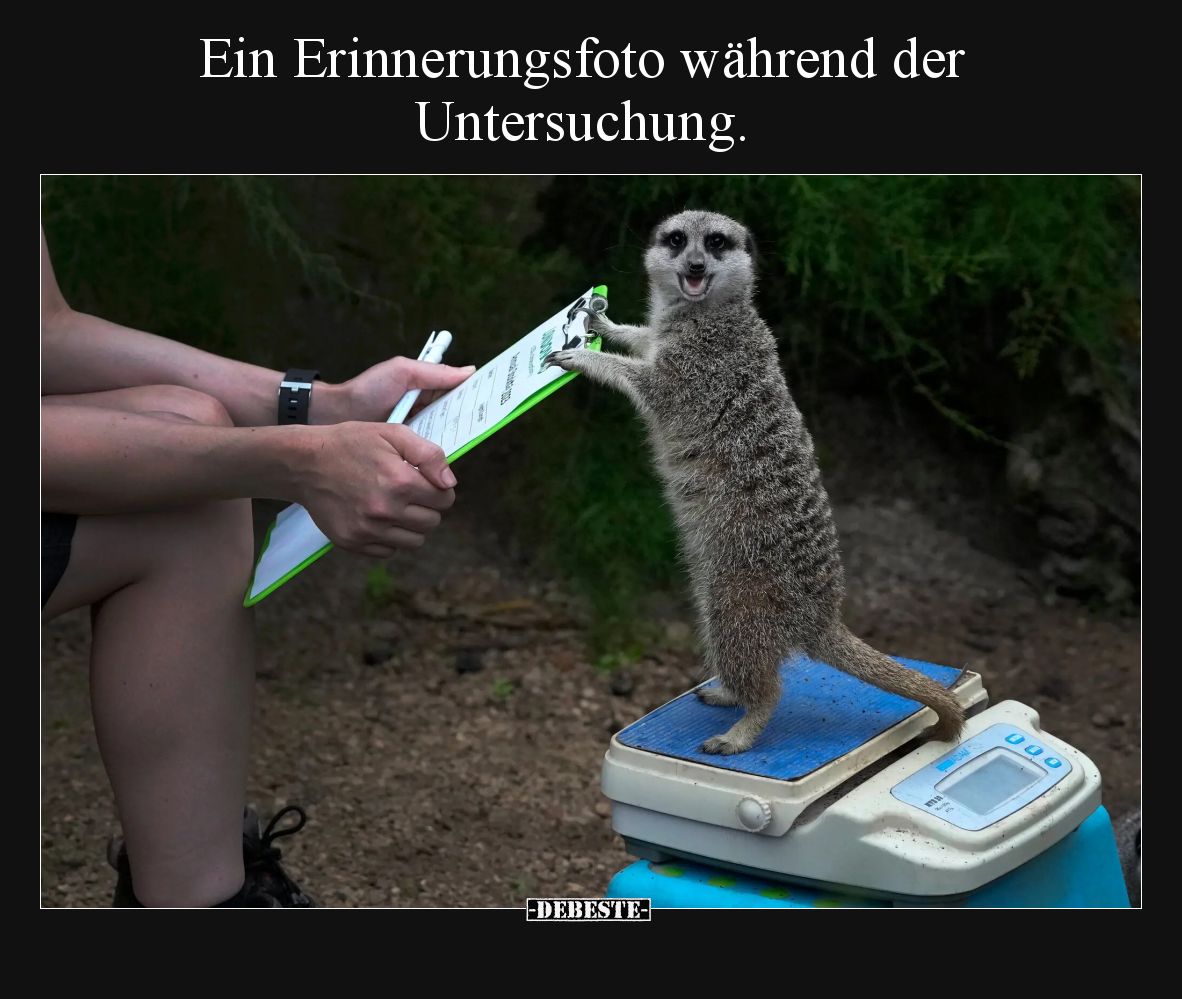 Ein Erinnerungsfoto während der Untersuchung.