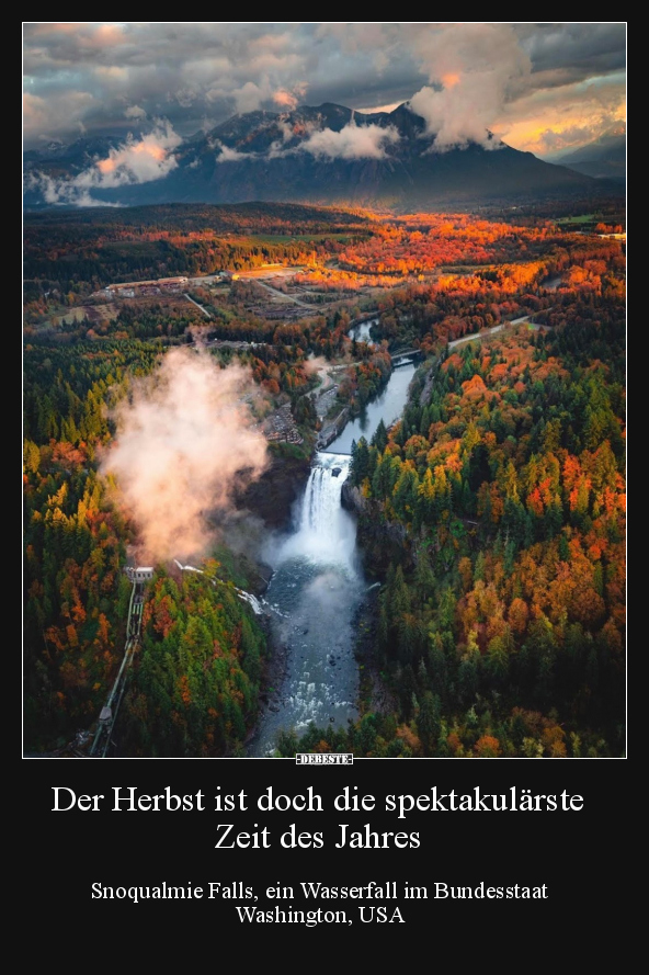 Der Herbst ist doch die spektakulärste Zeit des Jahres.. - Lustige Bilder | DEBESTE.de