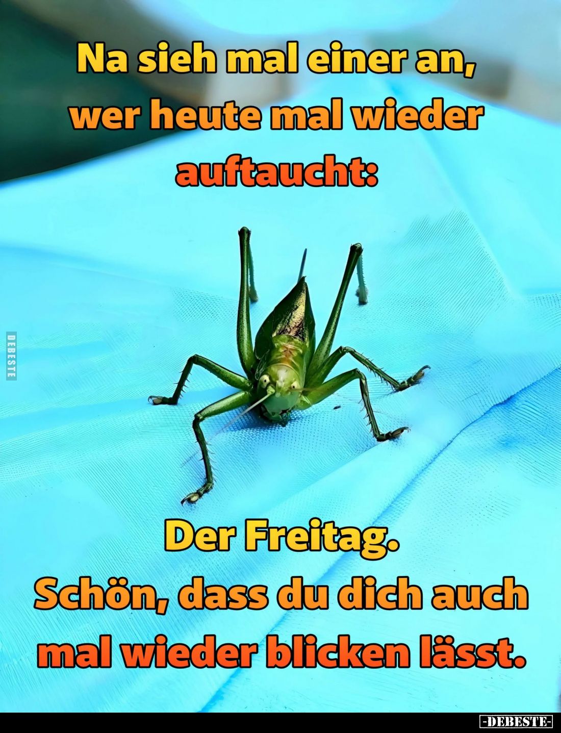 Na sieh mal einer an, wer heute mal wieder auftaucht:
Der Freitag.
Schön, dass du dich auch mal wieder blicken lässt.