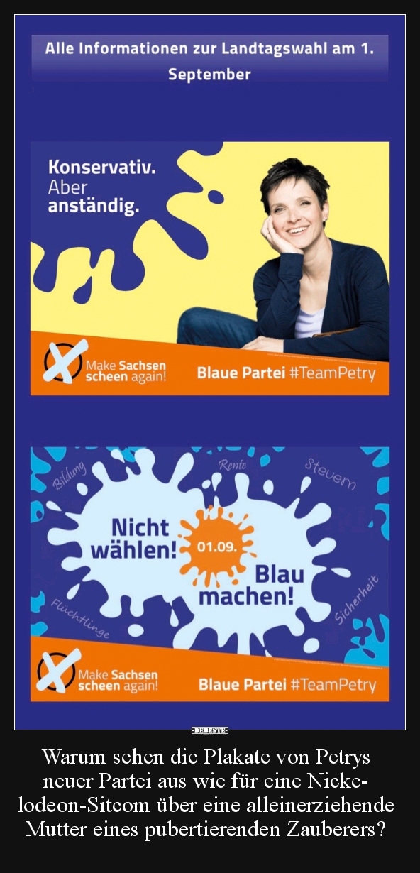 Warum sehen die Plakate von Petrys neuer Partei aus wie.. - Lustige Bilder | DEBESTE.de