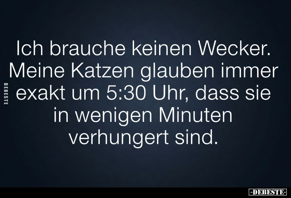 Ich brauche keinen Wecker. Meine Katzen glauben immer exakt um 5:30 Uhr, dass sie in wenigen Minuten verhungert sind.