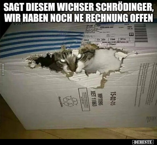 Sagt diesem Wichser Schrödinger, wir haben noch ne Rechnung.. - Lustige Bilder | DEBESTE.de