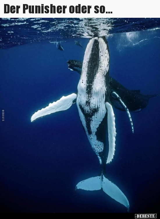 Der Punisher oder so...