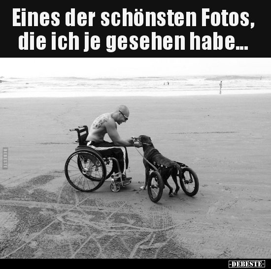 Eines der schönsten Fotos, die ich je gesehen habe...