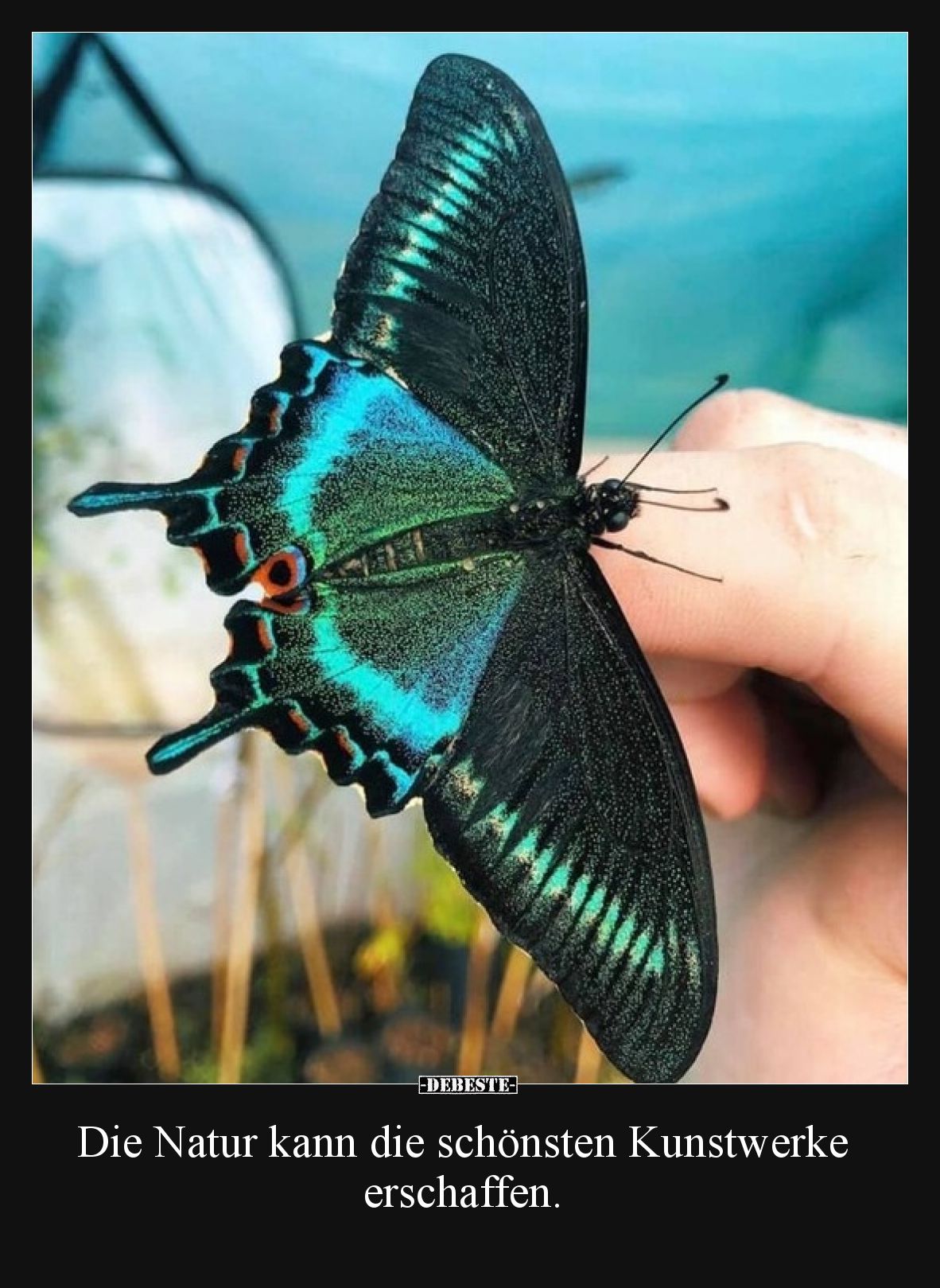 Die Natur kann die schönsten Kunstwerke erschaffen... - Lustige Bilder | DEBESTE.de