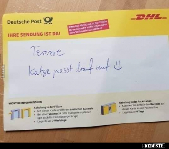 Terasse.
Katze passt drauf auf.