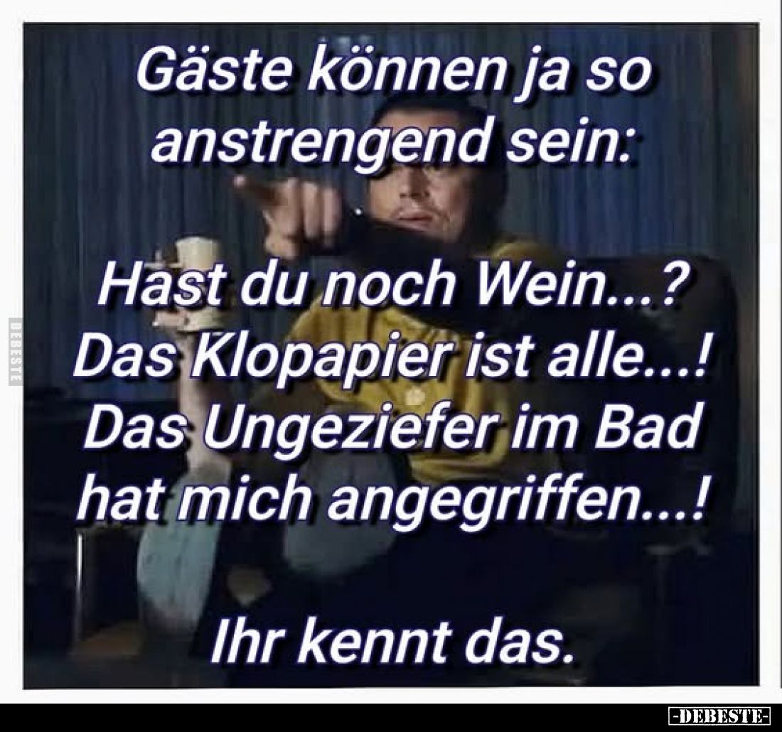 Gäste können ja so anstrengend sein:
Hast du noch Wein...? - 
Das Klopapier ist alle...! -
Das Ungeziefer im Bad hat mich ...