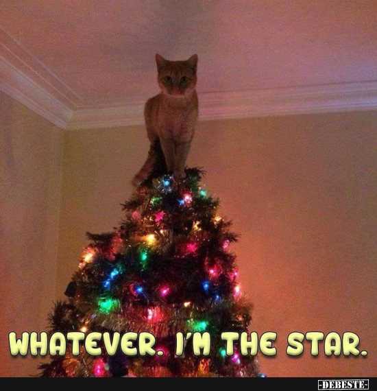 Whatever. I'm the star.