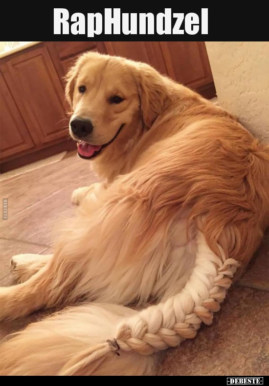 RapHundzel..