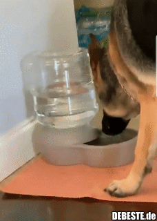 Wasserspender macht Geräusche..