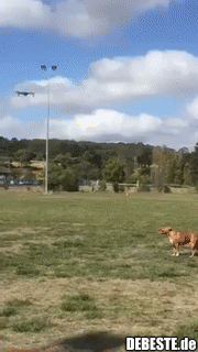 Player 2 entered the game..