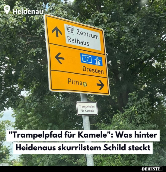 "Trampelpfad für Kamele".. - Lustige Bilder | DEBESTE.de
