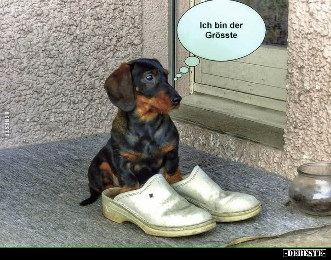 Ich bin der Grösste.