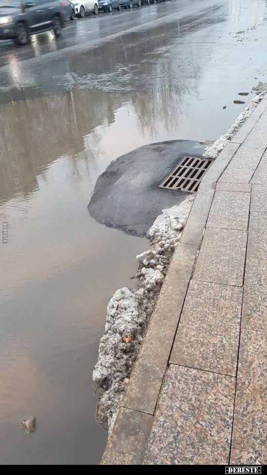  - Lustige Bilder | DEBESTE.de