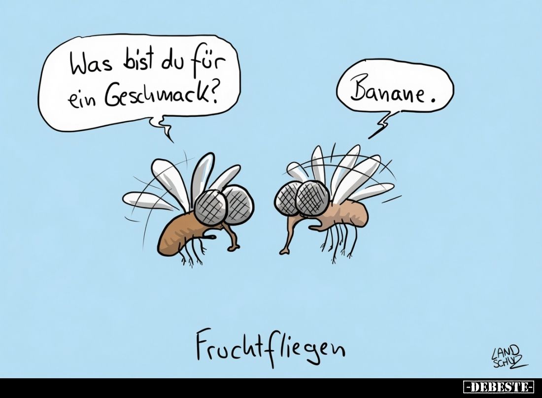 Was bist du für ein Geschmack? -
Banane. -
Fruchtfliegen.