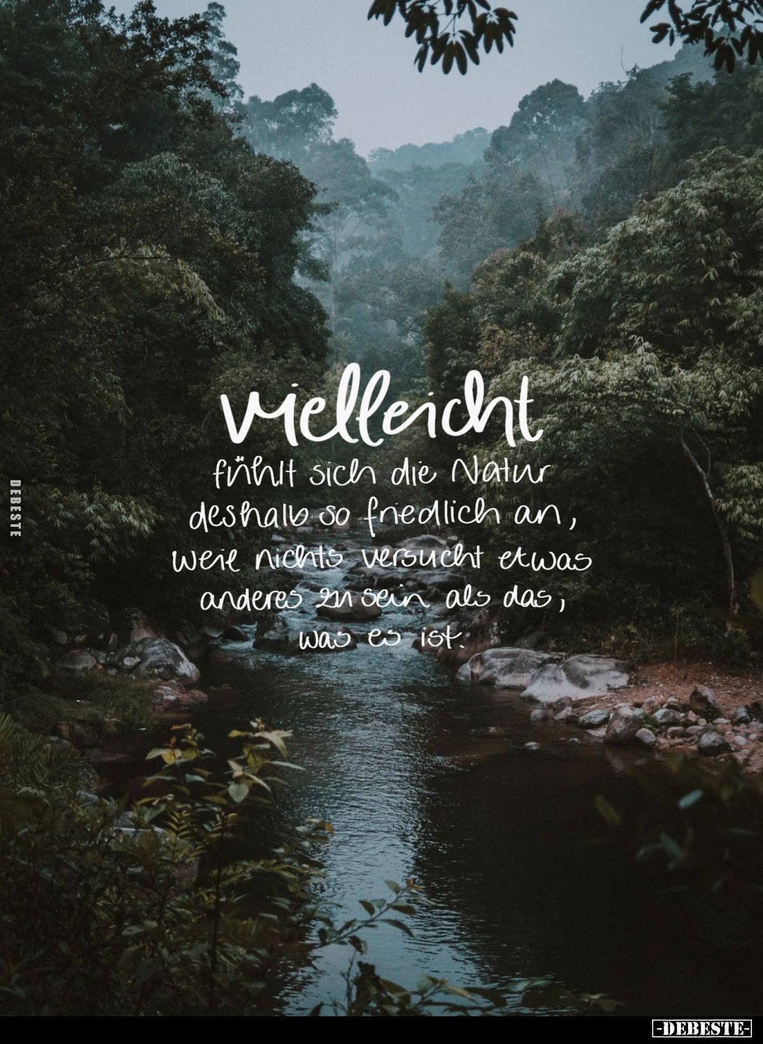Vielleicht
fühlt sich die Natur deshalb so friedlich an, weil nichts versucht etwas anderes zu sein als das, was es ist.