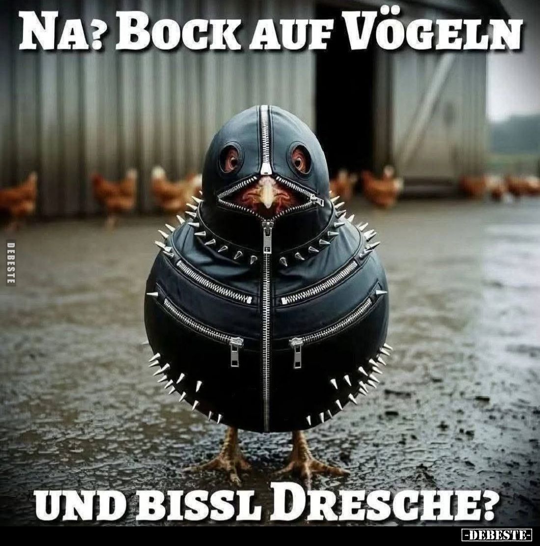 Na? Bock auf Vögeln

und bissl Dresche?