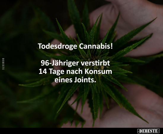 Todesdroge Cannabis! 96-Jähriger verstirbt 14 Tage nach.. - Lustige Bilder | DEBESTE.de