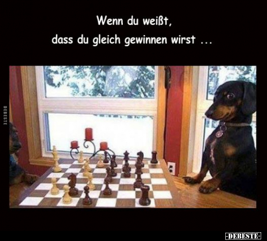 Wenn du weißt, dass du gleich gewinnen wirst...