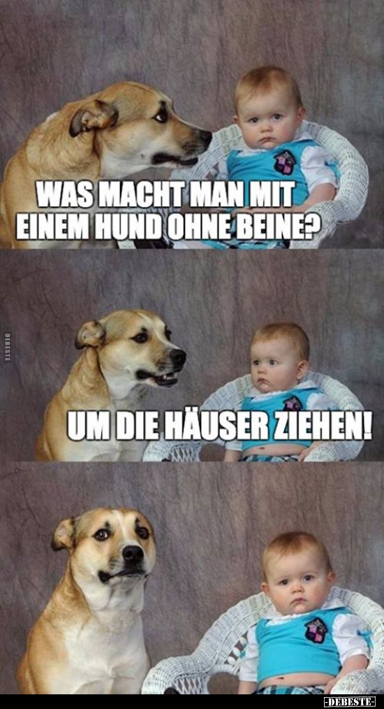 Was macht man mit einem Hund ohne Beine? - Lustige Bilder | DEBESTE.de