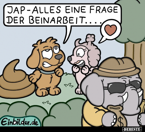 Jap - alles eine Frage der Beinarbeit.... - Lustige Bilder | DEBESTE.de