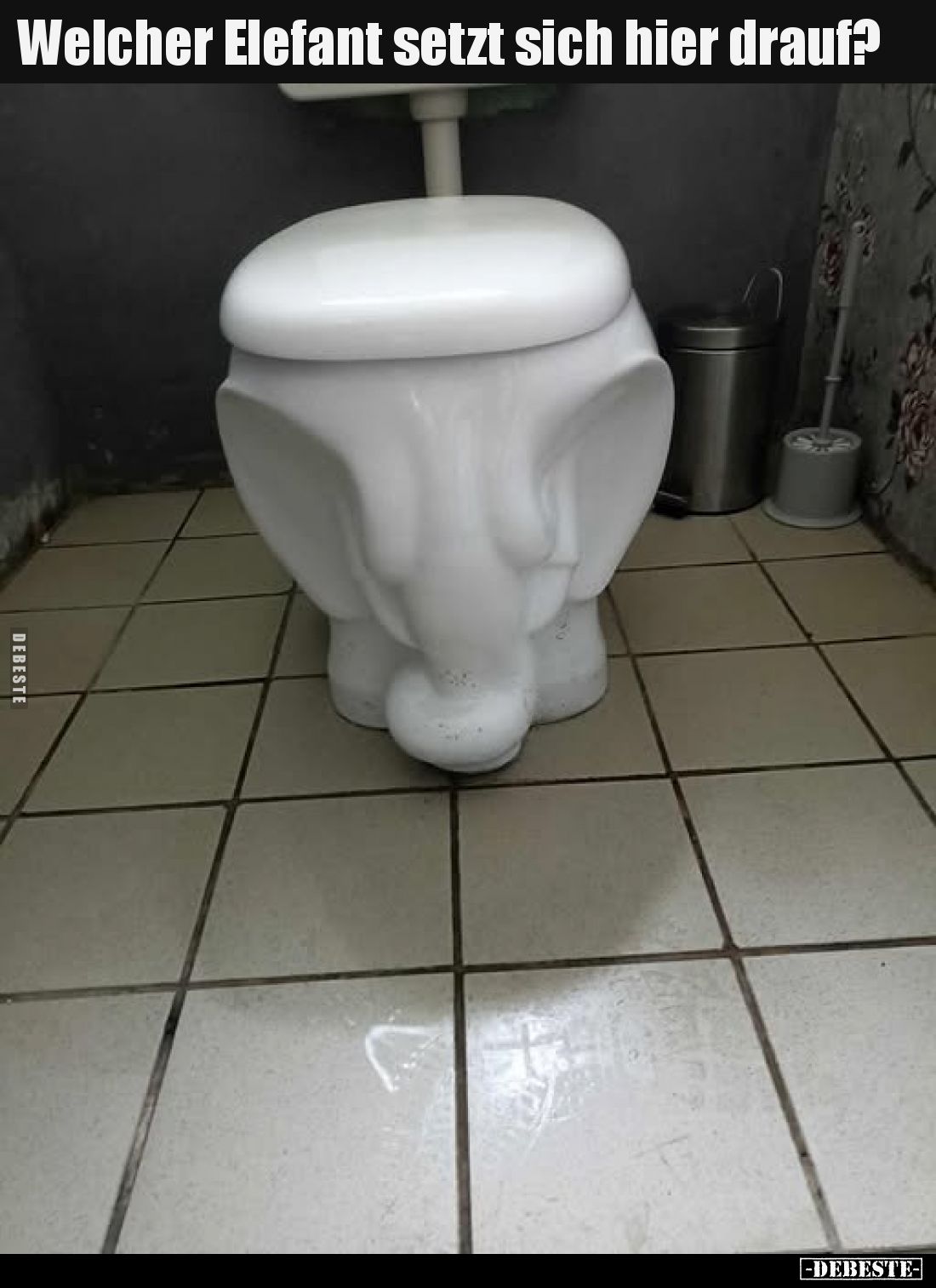 Welcher Elefant setzt sich hier drauf?