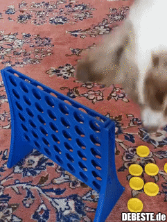 Der Hund, der gelernt hat, "4 Gewinnt" zu spielen, aber keinen Sportsgeist gelernt hat.. - Lustige Bilder | DEBESTE.de